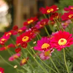 Madeleine Bed & Breakfast Bergerac
