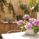 Bed & Breakfast Madeleine 4*