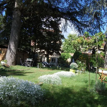 Bed & Breakfast Madeleine