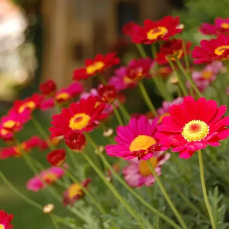 Madeleine Bed & Breakfast Bergerac