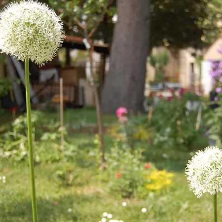 Madeleine 4* ベルジュラック