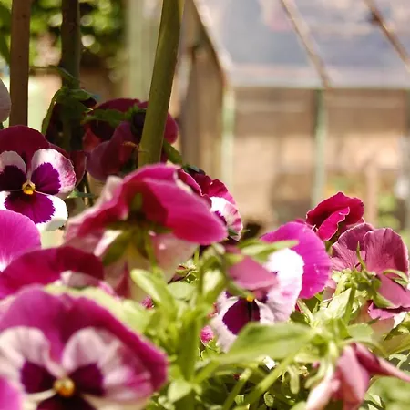 Madeleine ベッド・アンド・ブレックファスト ベルジュラック