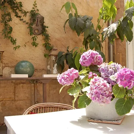 Bed & Breakfast Madeleine 4*