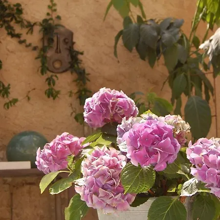 Bed & Breakfast Madeleine Bergerac