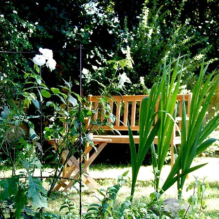 Madeleine Bed & Breakfast