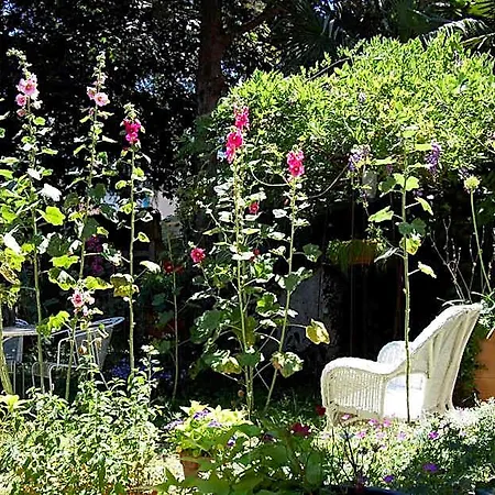 Madeleine Bed & Breakfast