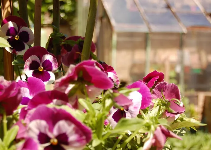 Madeleine Frühstückspension Bergerac