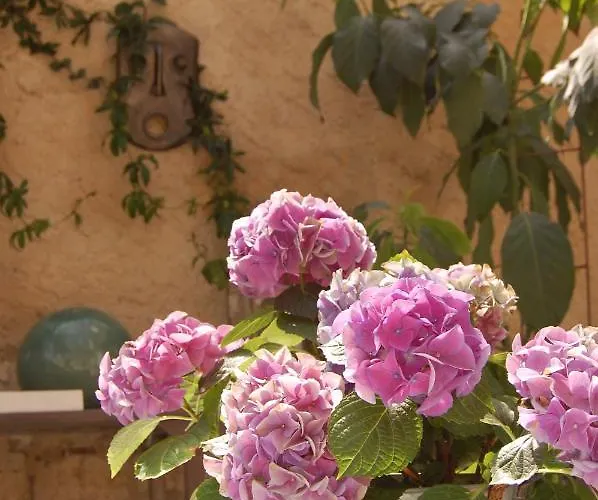 Bed and Breakfast Madeleine Μπερζεράκ