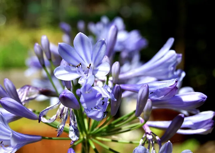 Madeleine 4* Bergerac