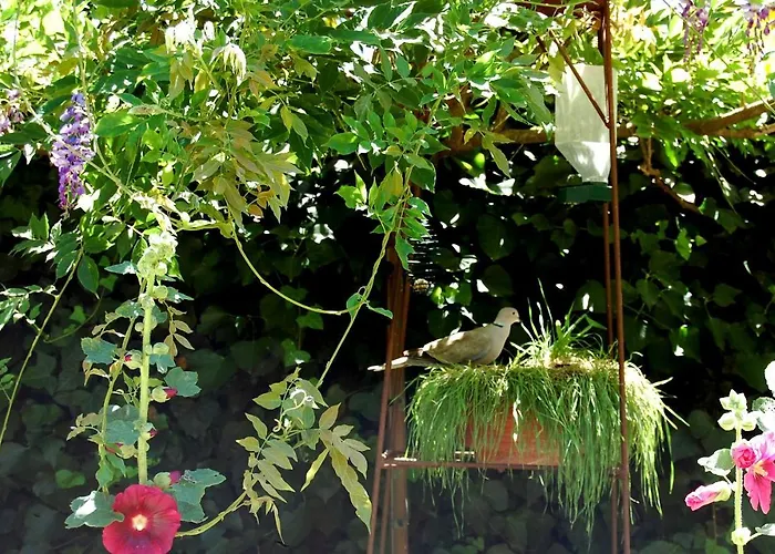 Bed and Breakfast Madeleine Μπερζεράκ